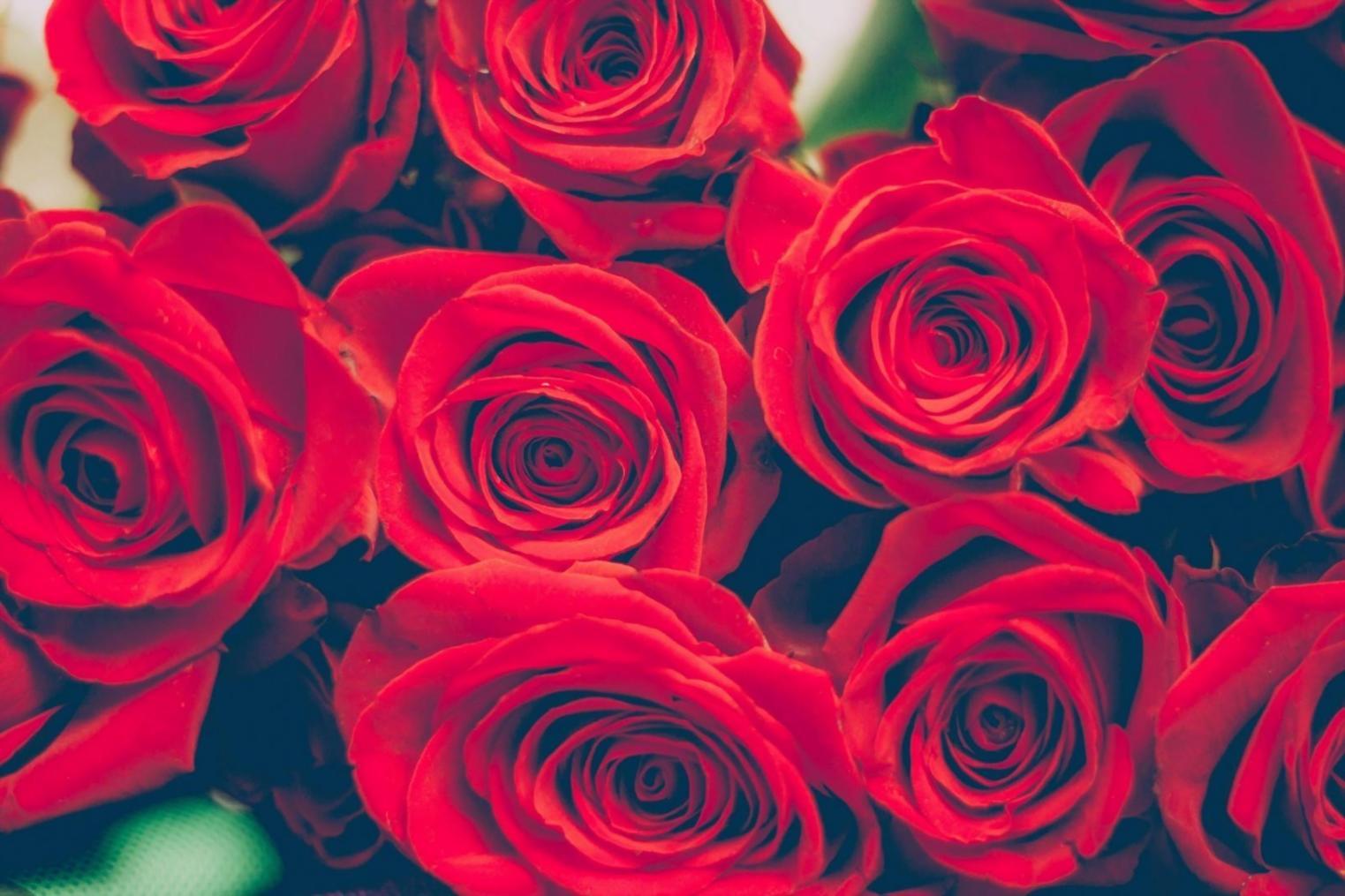Seizoensboeketten samengesteld met verse bloemen